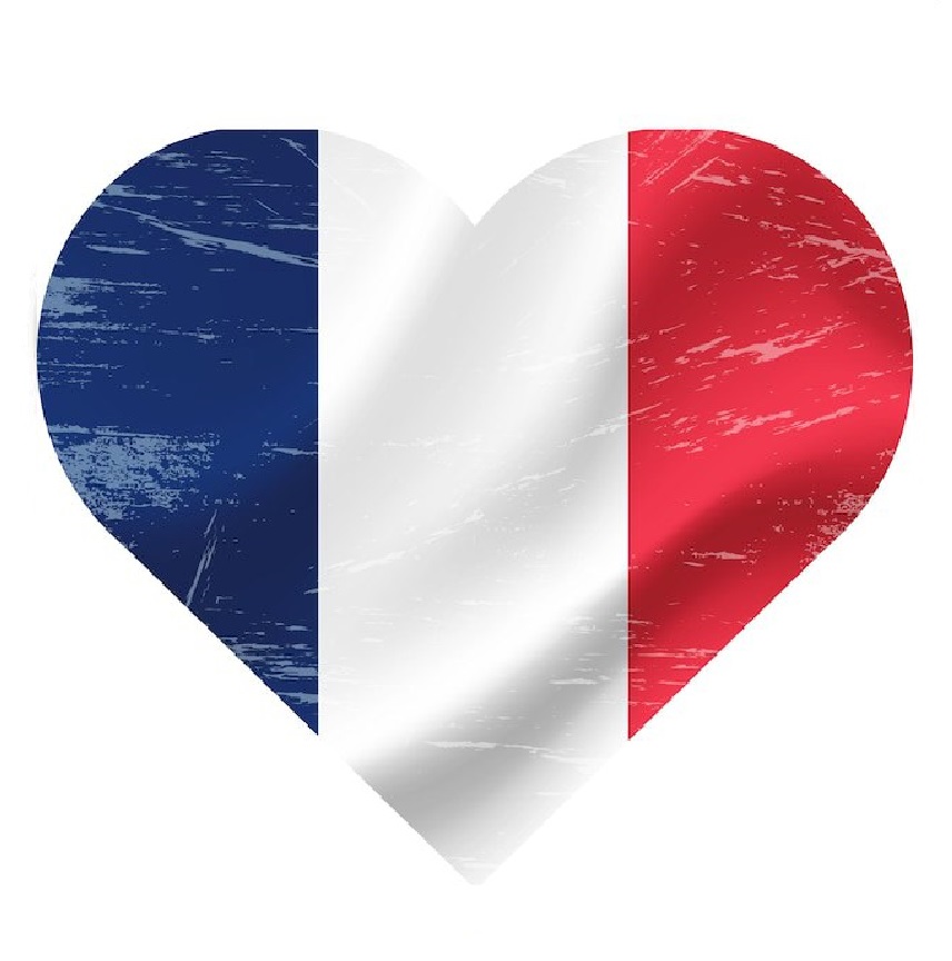 کتاب های فرانسه